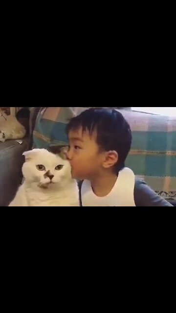 Cute Baby And Cute Cat Funny Moments Video 2021