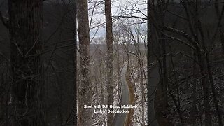 Ultimate Tree Bridges! - Part 3