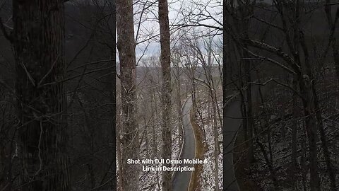 Ultimate Tree Bridges! - Part 3
