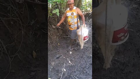 Atolou no mangue kkkkk