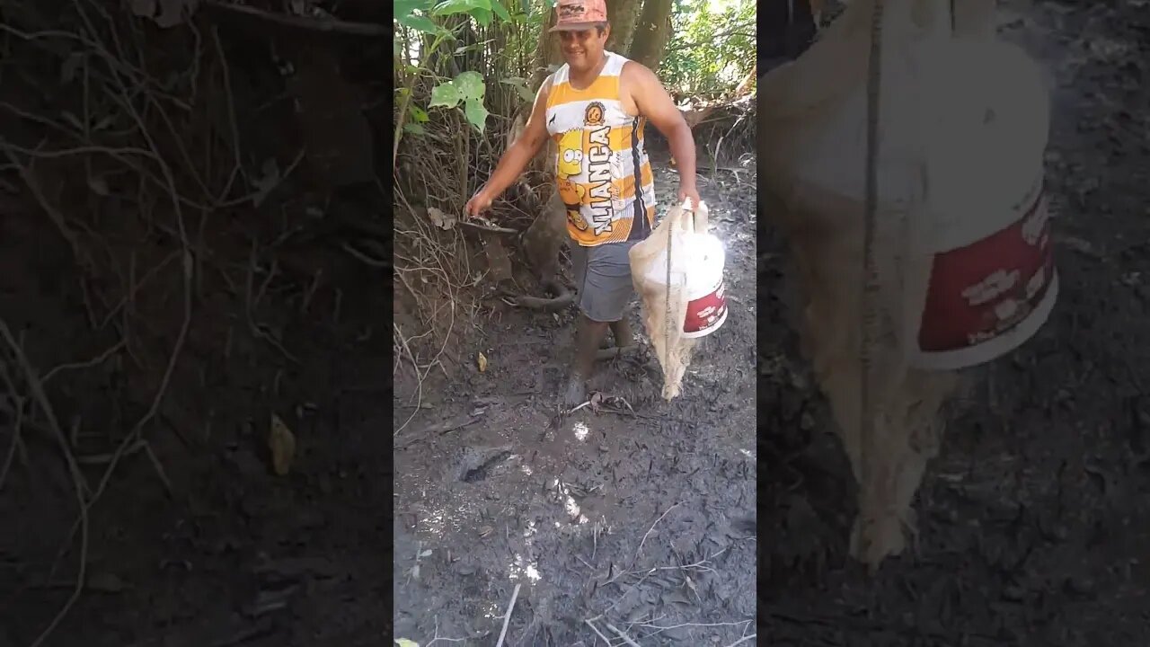 Atolou no mangue kkkkk