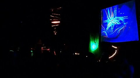 Full Set at Renegade in the Forest DJ Buckethead Set 6-4-2023