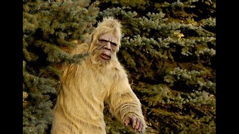 5 bigfoot encounters & more