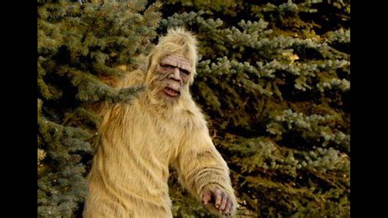 5 bigfoot encounters & more