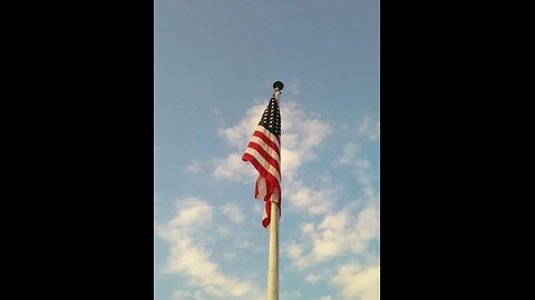 PSYOPS Shrinks Trying To Manipulate DJT & Liz Cheney/Erection 2.0
