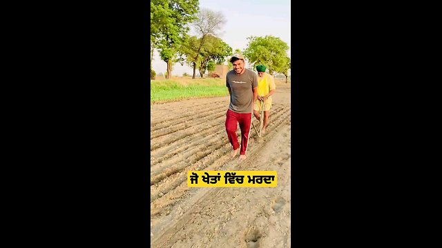 ਖੇਤ