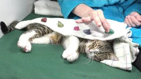 Cat Reiki Aura Energy Cleansing with Gemstones and Massage, Cat ASMR