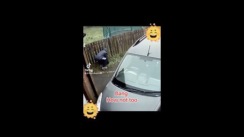 Car thief