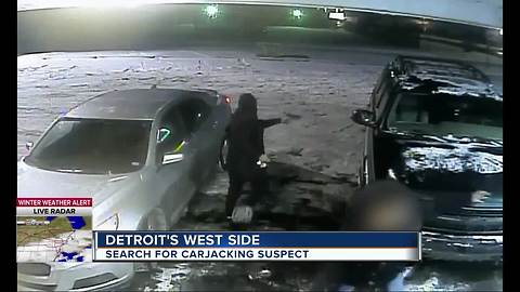 Detroit Police want your help finding a carjacker who robbed a woman