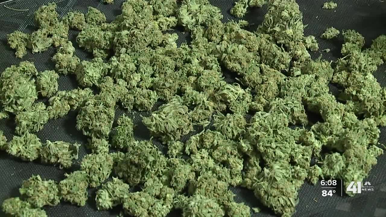 A look inside MO medical marijuana growing facility, testing lab