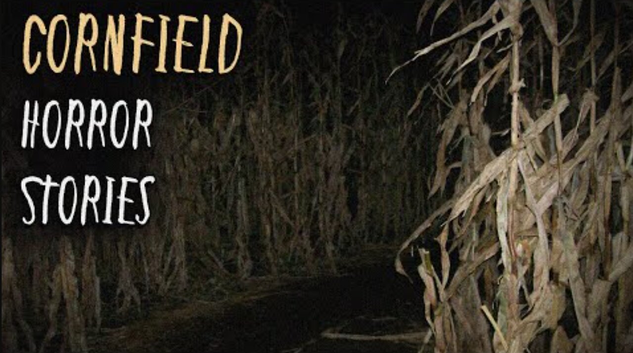 3 Terrifying TRUE Cornfield Horror Stories | Part 1