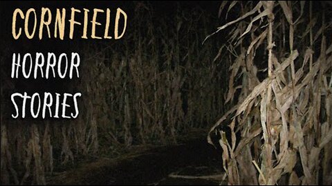 3 Terrifying TRUE Cornfield Horror Stories | Part 1