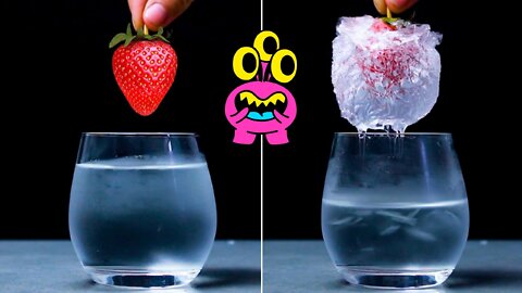 Experiments | Amazing Science