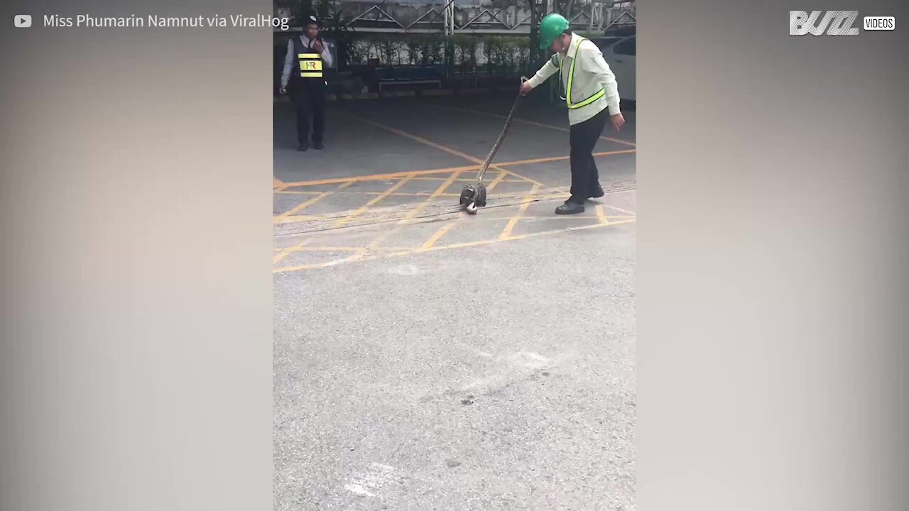 Uomo salva gattino dalle grinfie di un serpente gigante!
