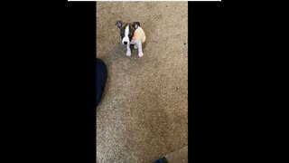 First time Princess was upstairs