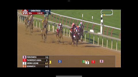Travers Stakes 2024 - Race Replay