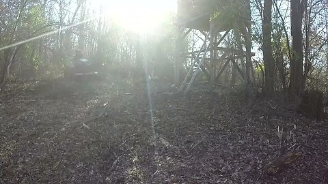 Big shooting lane job Ventrac 4500Y diesel Tough cut deck. Part 6 Finishing the Deer stand.