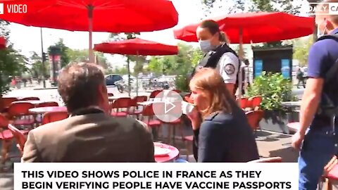 Video Shows Police In France Checking For Vaccine Passports