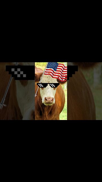 This law makes everything more expensive