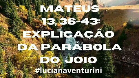 Mateus 13, 36-43 Explicação da parábola do joio #lucianaventurini #evangelhodemateus