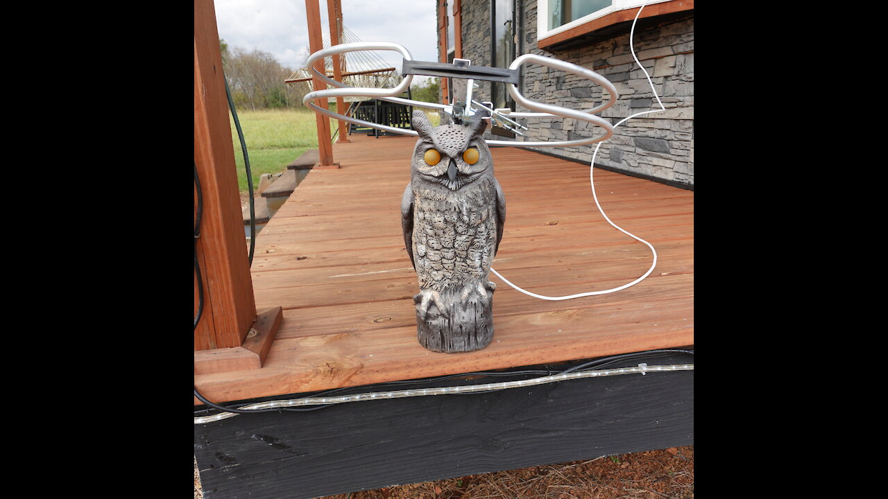 The Holy Hoot Owl of Antioch with Cataracts & a Yamaha R-V703 with Edifier R1280T Speakers