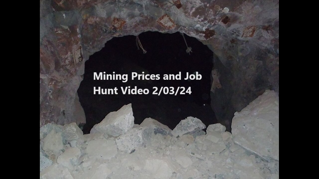 Mining Prices and Job Hunt Video 2/03/24