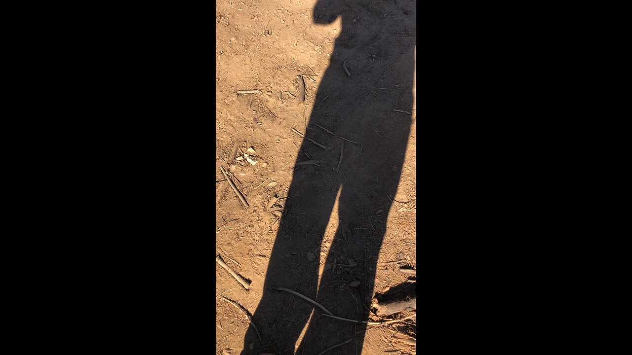 Park fire