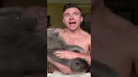 Funny Cat and Dogs - Funny Pet Videos
