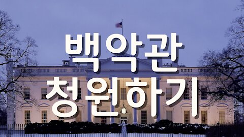 Petition (백악관에 청원하기)