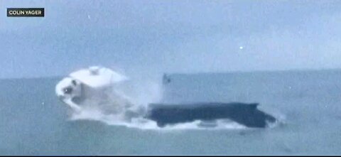 Whale capsizes boat! 😱 #OhNo #WhaleFail