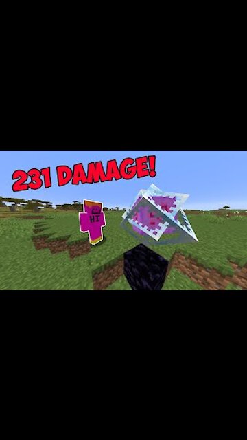 MINECRAFT 2021 - "The Most Damage in Minecraft..."