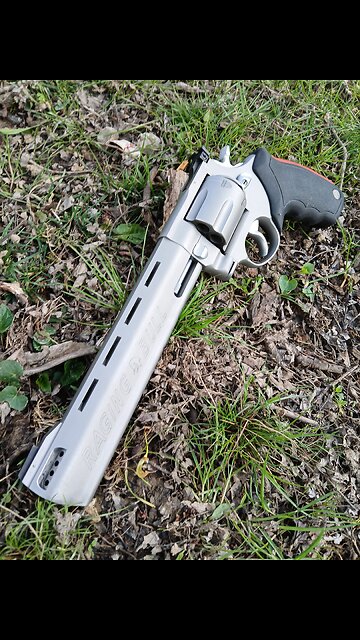 Taurus Raging Bull