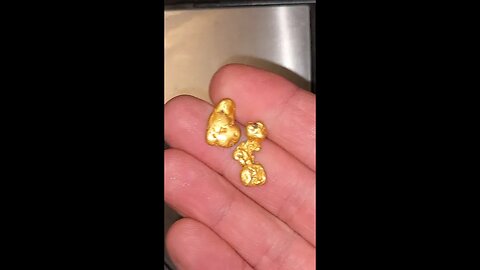 Found Two Beautiful Gold Nuggets!!