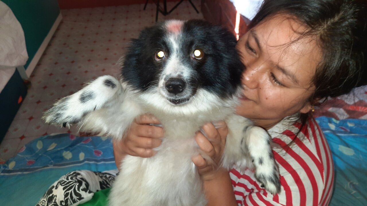 Cute and lovely dog fighting and barking with me