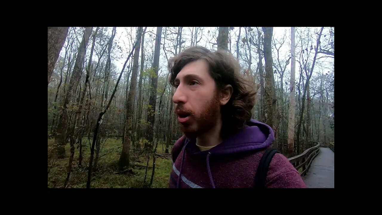 FL Springs trip Ep1: Congaree nat'l park