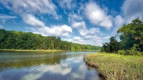#Catfish #Creekfishing Fishing at College Landing Park & The Farm.