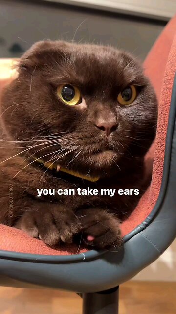 You Can Take My Ears