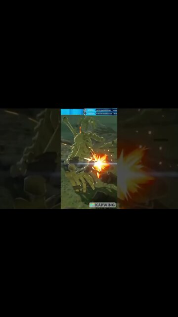 BOTW: Killing Moblin Skeletons with Panache