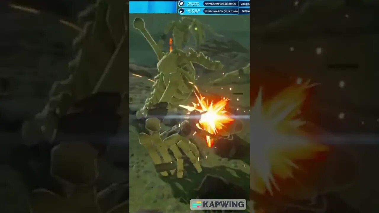 BOTW: Killing Moblin Skeletons with Panache