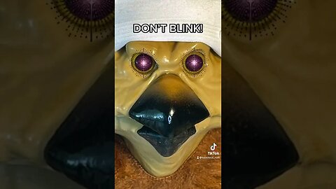DON’T BLINK! #shorts