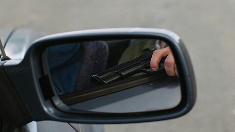 442 - Interstate Firearm Possession
