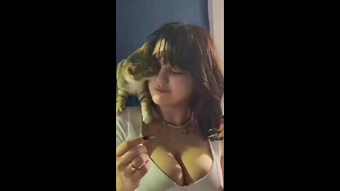 Lucky cat 🐕
