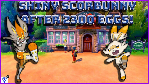 Shiny Scorbunny After 2300 Eggs In Pokemon Shield!