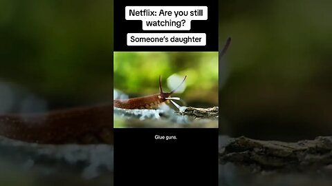Are you still watching Netflix