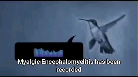What is Myalgic Encephalomyelitis (M.E.) ? (with subtitles) (Cleanvoice Enhanced A.I. Sound Remaster) - Jodi Bassett