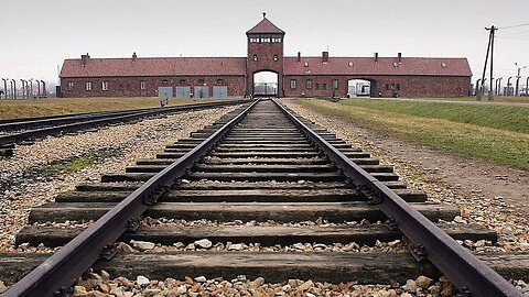 Gas Chambers Debunked (Documentary)