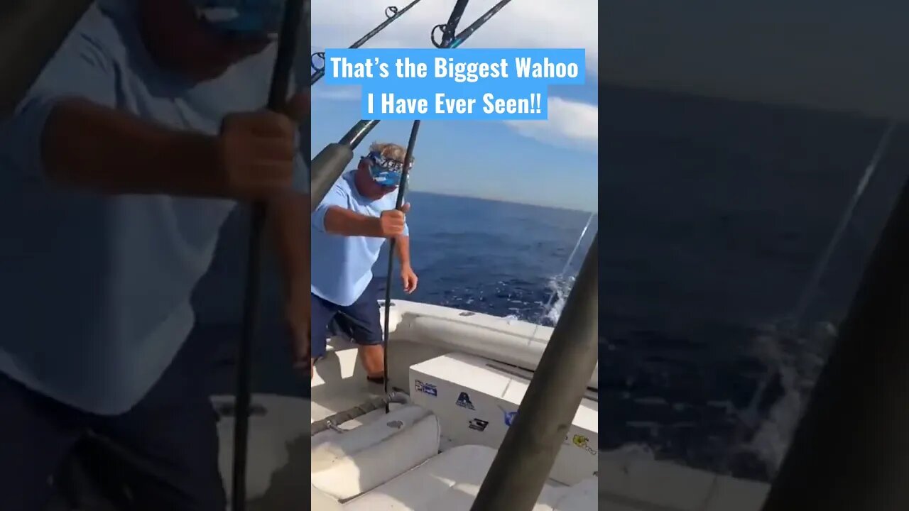 12-Year-Old Angler Reels In a MONSTER...And You WON'T Believe What She Caught!! #shorts #fishing