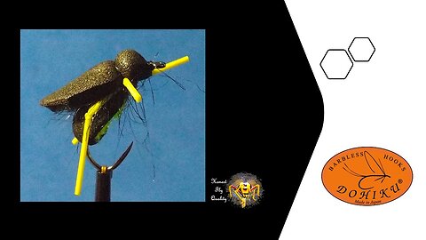 Viva Style Foam Beetle