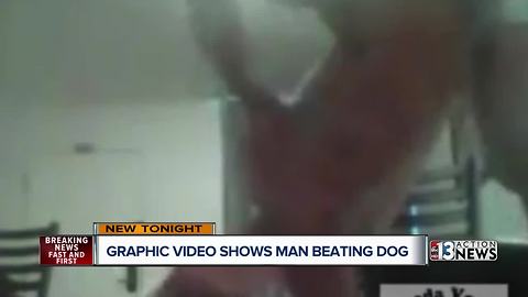 Video shows extreme case of animal abuse in Las Vegas