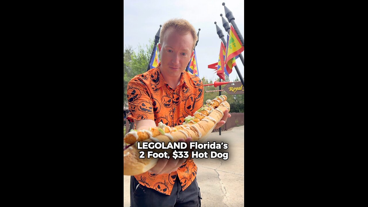 2 Foot Hot Dog for Sale at LEGOLAND Florida for $33
